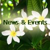 Island Organizers' News & Events